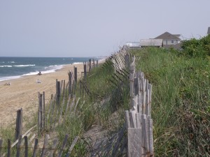 DSCF0216.JPG