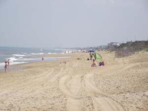 DSCF0227.JPG