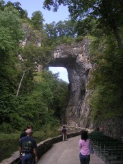 PICT3011.JPG