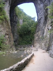PICT3016.JPG