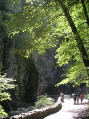 PICT3022.JPG